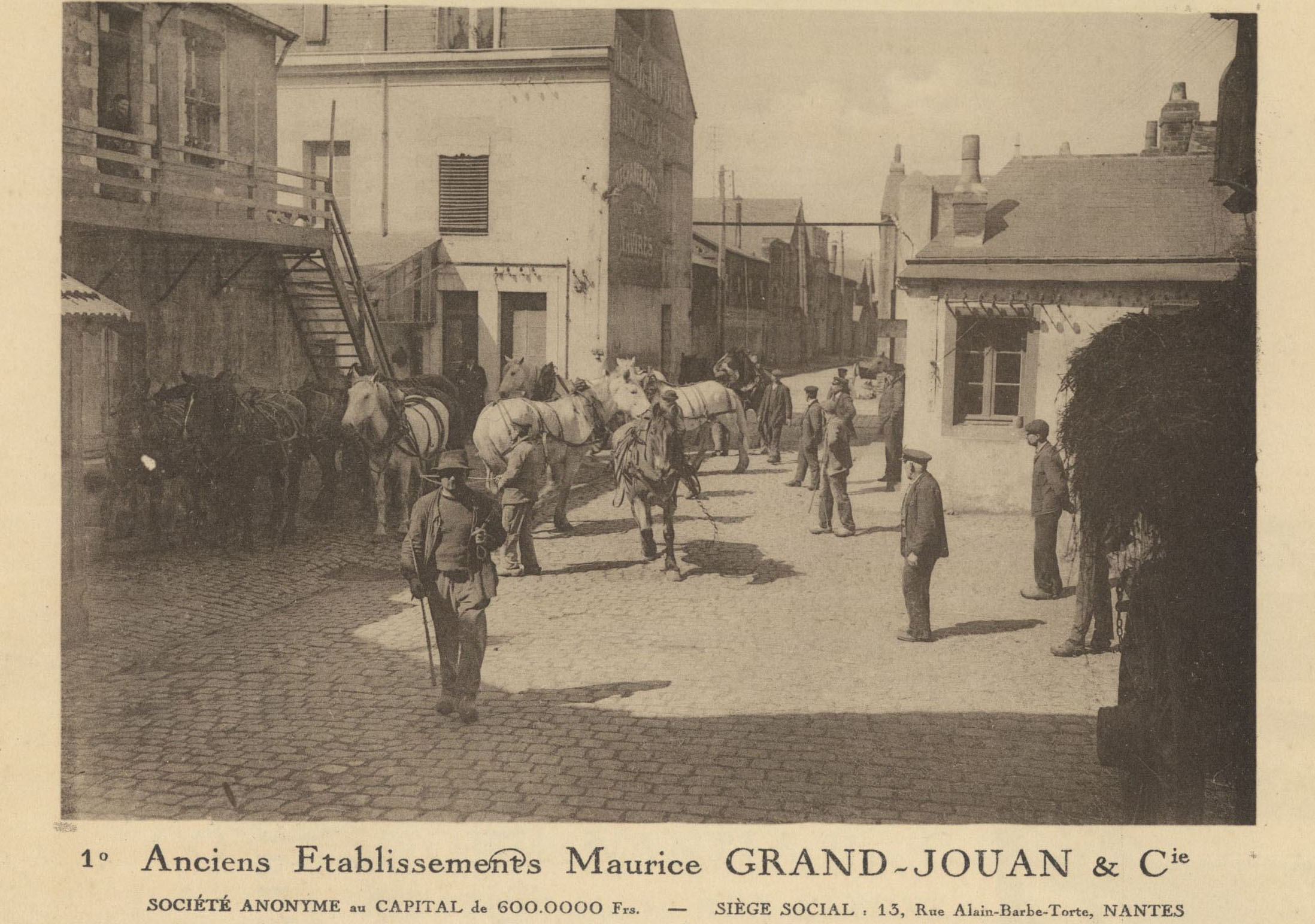 Des chevaux attelés dans la cour de l’entreprise Maurice Grand-Jouan & Cie, spécialisée dans le déchargement des navires et le transport, années 1920 (5Fi559)
