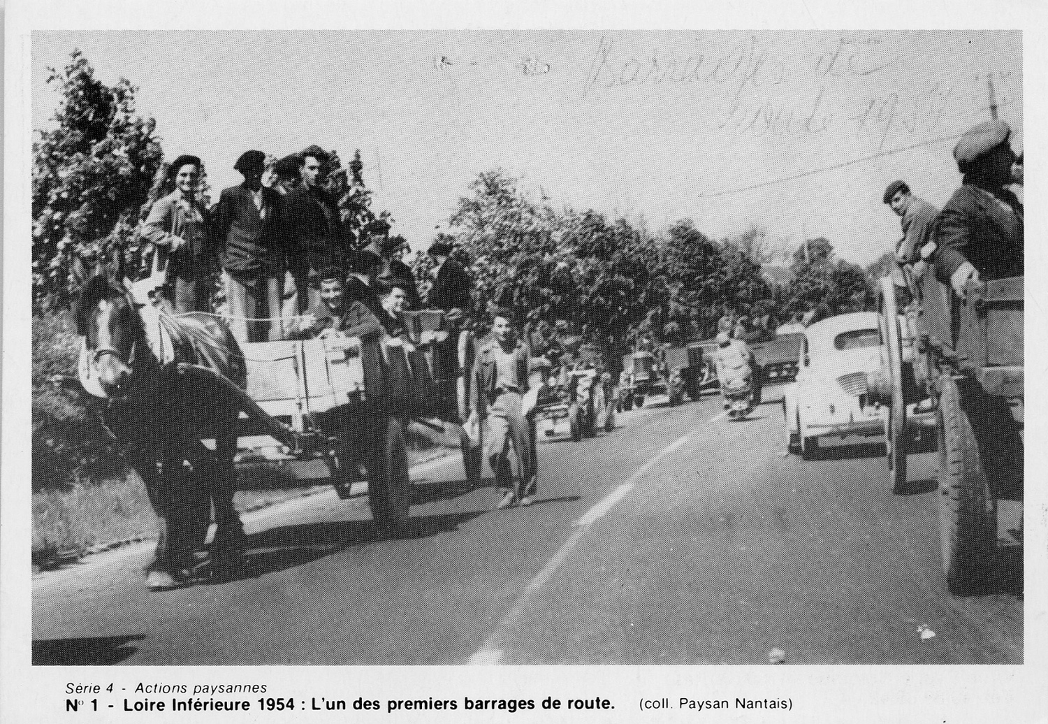 Un cheval au milieu des engins agricoles lors d’un des premiers barrages routiers en Loire-Inférieure en 1954, au cours d’une mobilisation paysanne (9Fi131)