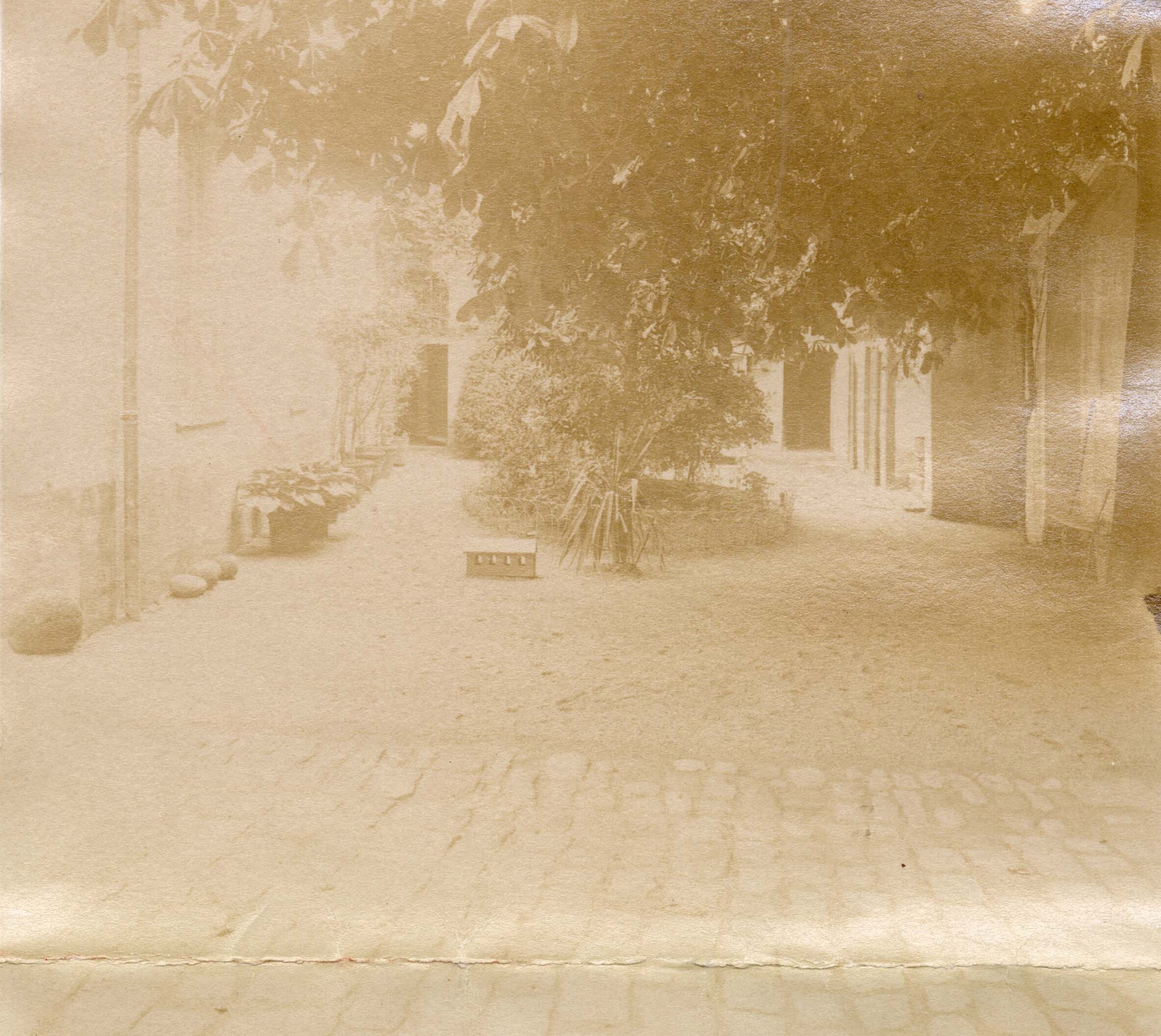 Coup de coeur - Il était une fois la rue du Lycée 