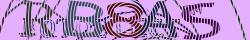 Saisir le CAPTCHA dans l'image
